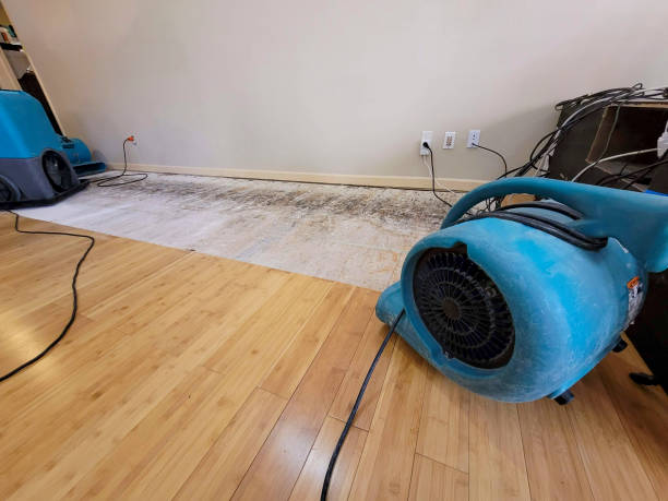 Reliable Basement Flood Cleanup contractor in Valencia, CA by Hirex Water Damage