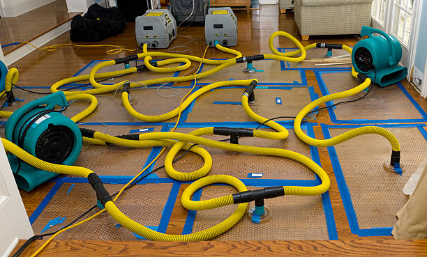 Professional Basement Flood Cleanup technician working in Valencia, CA